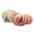 China fresh frozen octopus for sale Factory